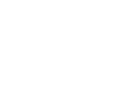 logo footer