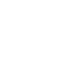 logo hero